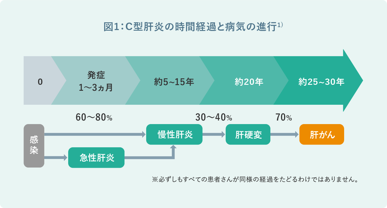 図1:C型肝炎の時間経過と病気の進行※