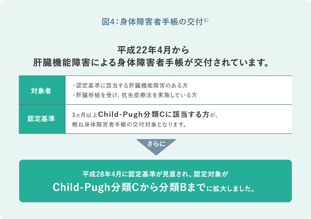 図4:身体障害者手帳の交付3)